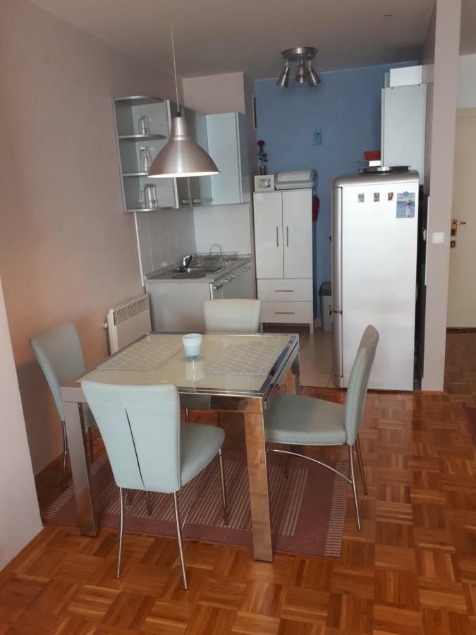 Apartment Hana 茨里克韦尼察 外观 照片
